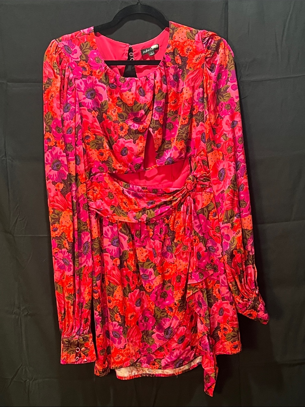 For Love And Lemons Pink and Red Floral Long-Sleeve Dress